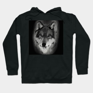 Grey wolf Hoodie